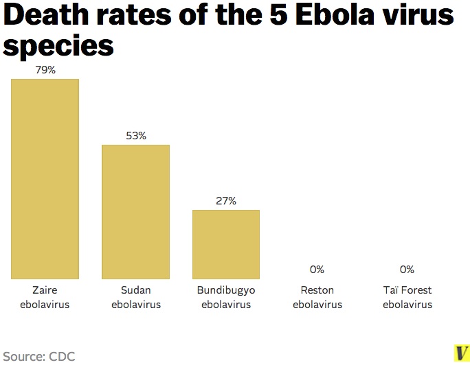 Ebola: i diversi ceppi del virus e la relativa mortalità (Vox.com)
