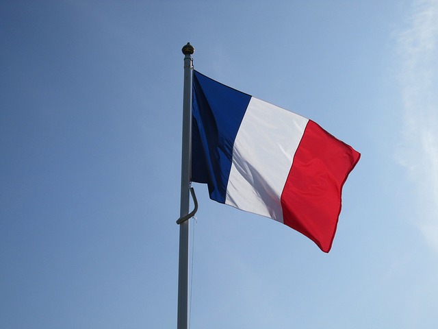 francia articolo 18 reintegra