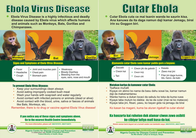La campagna informativa su Ebola in Nigeria (Fonte: motherjones.com)