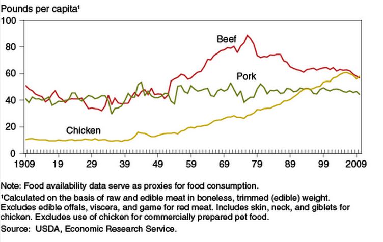 Tabella comparativa nel consumo pro capite di carne di pollo, maiale e manzo. (fonte: ers.usda.gov)
