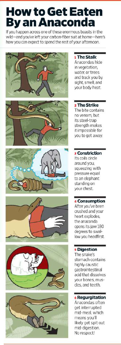Come farsi mangiare da un anaconda. (fonte: entertainment weekly)