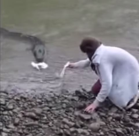Cose da fare in Nuova Zelanda: dare da mangiare ad un'anguilla gigante (fonte: YouTube.com)