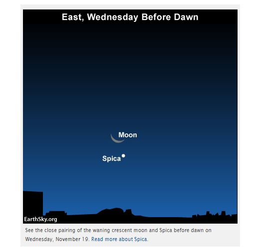 La posizione di Spica rispetto alla Luna domani mattina all'alba (fonte Earthsky.org)