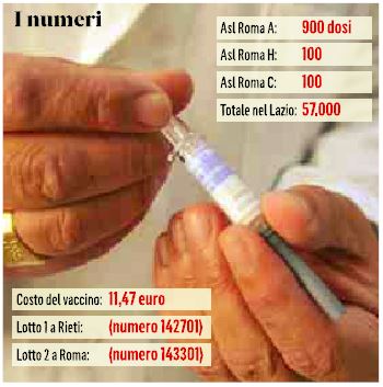 fluad vaccino influenza 1