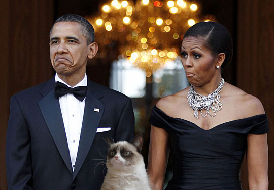 I coniugi Obama e il Grumpy Cat 