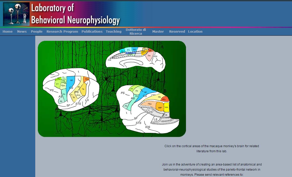 La home page del Laboratoy of Behavioral Neurophysiology