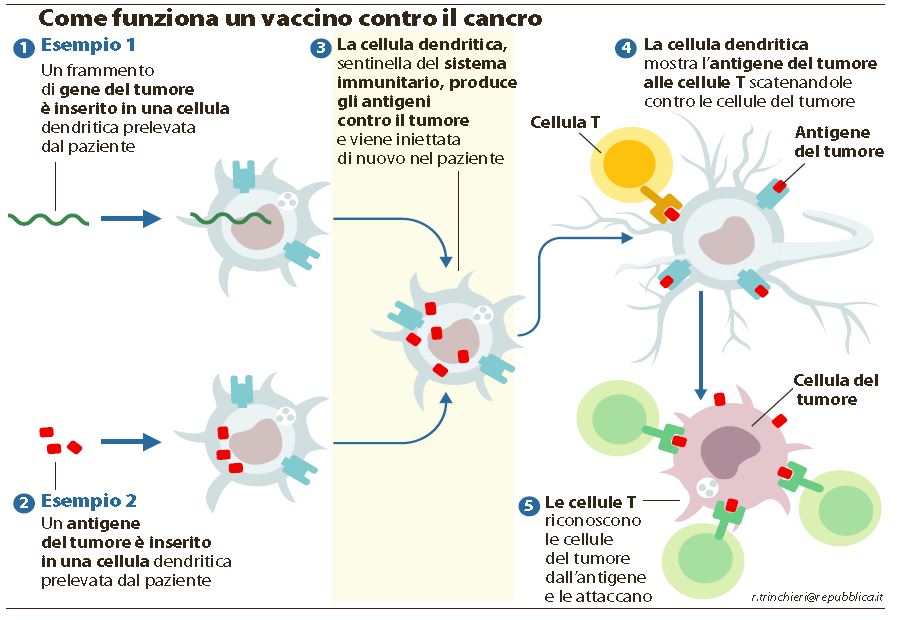 come funziona vaccino cancro
