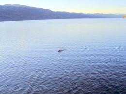 L'ultima "foto" del mostro di Loch Ness