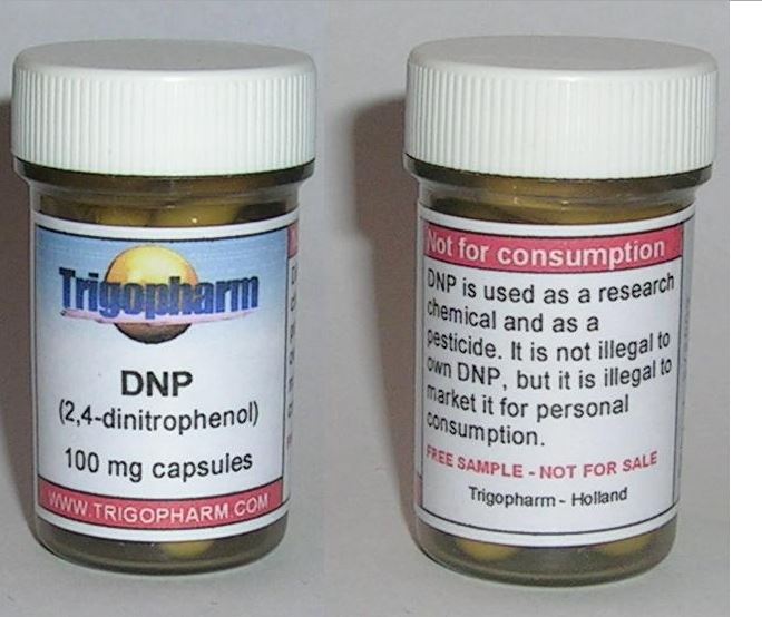 dnp decessi dinitrofenolo - 2
