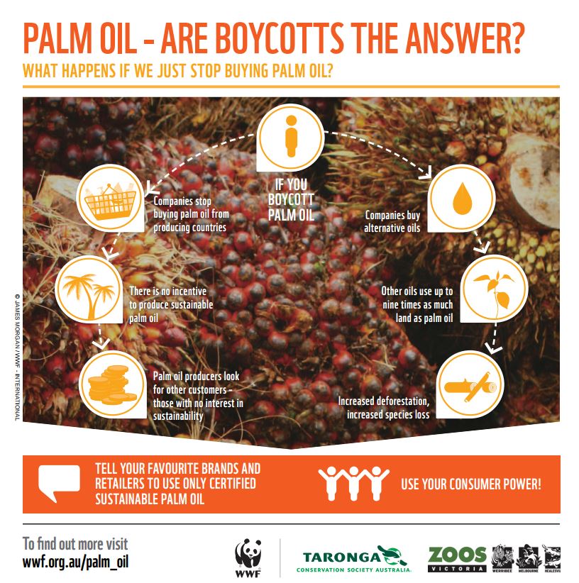 Meglio chiedere l'utilizzo di olio di palma certificato , non sarà la soluzione ideale ma è il meglio che possiamo permetterci (fonte: wwf.org.au)