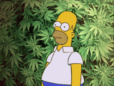 homer marijuana