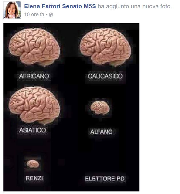 elena fattori cervello elettore pd