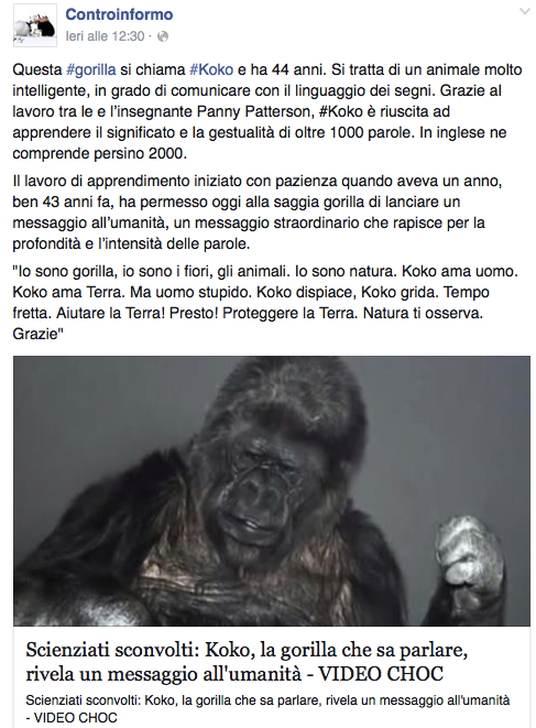 gorilla koko cop21 controinformo - 1