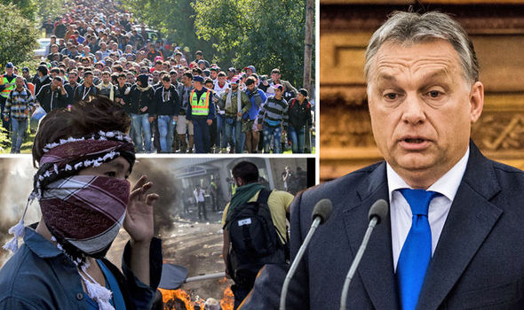 Risultati immagini per ungheria referendum