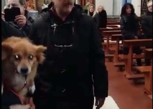 genzano cani chiesa